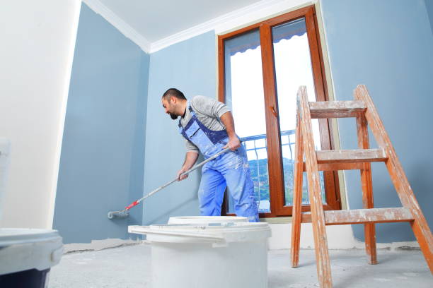 Best Basement Mold Removal  in Bristol, CT